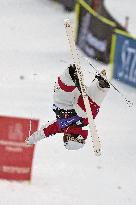 Freestyle skiing: World Cup in U.S.