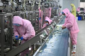 China Manufacturing Industry