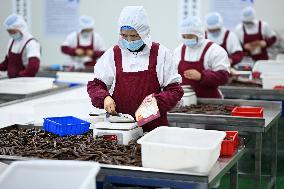 China Manufacturing Industry