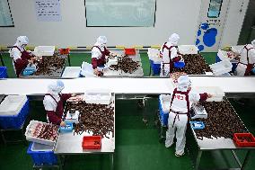 China Manufacturing Industry