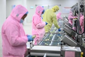 China Manufacturing Industry