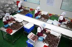 China Manufacturing Industry