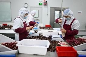 China Manufacturing Industry