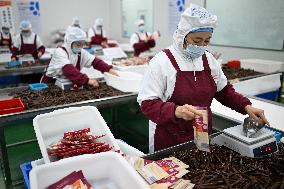 China Manufacturing Industry