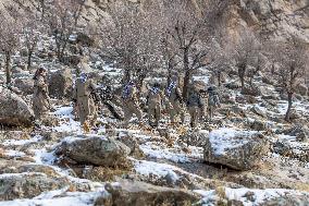 KDPI Military Drill Near Erbil - Iraq