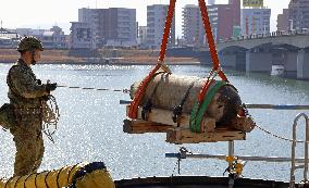 Unexploded bomb defused in Miyazaki