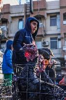 Living Heritage of Commerce in Ancient City - Iraq