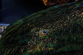 Living Heritage of Commerce in Ancient City - Iraq