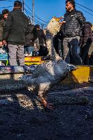 Living Heritage of Commerce in Ancient City - Iraq