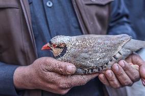 Living Heritage of Commerce in Ancient City - Iraq