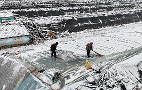 Agriculture Under Cold Wave