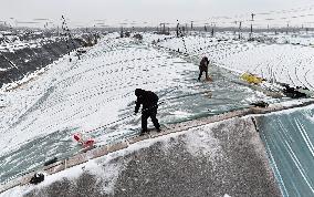 Agriculture Under Cold Wave