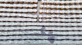 Agriculture Under Cold Wave