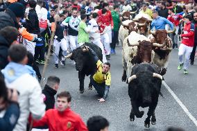 Bull Run - San Sebastian