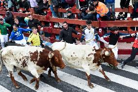 Bull Run - San Sebastian