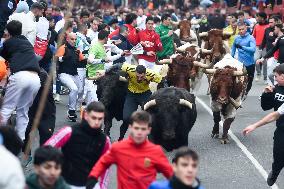 Bull Run - San Sebastian