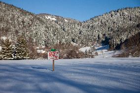 Illustration - Chartreuse