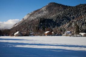 Illustration - Chartreuse