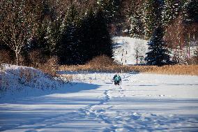 Illustration - Chartreuse