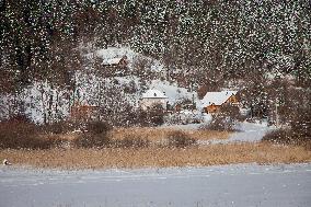 Illustration - Chartreuse