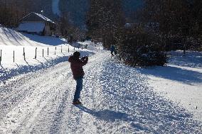 Illustration - Chartreuse