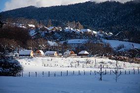 Illustration - Chartreuse