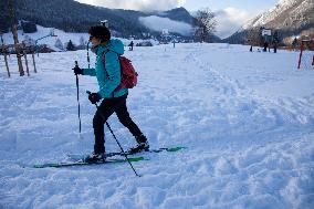 Illustration - Chartreuse