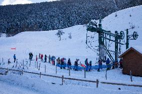 Illustration - Chartreuse