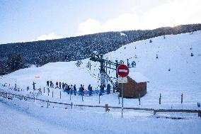 Illustration - Chartreuse