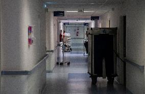 Illustration - Tronche - North-Hospital