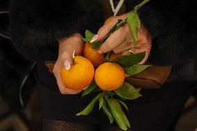 Celebration of The Feast of Saint Anthony Abbot - Corsica