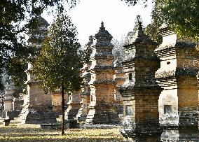 Pagoda Forest at Shaolin Temple