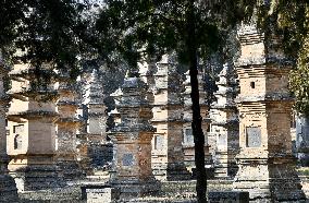 Pagoda Forest at Shaolin Temple