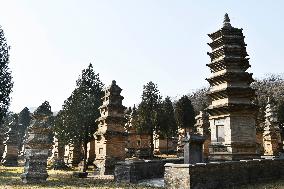 Pagoda Forest at Shaolin Temple
