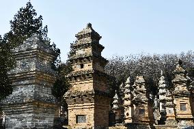 Pagoda Forest at Shaolin Temple