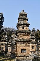Pagoda Forest at Shaolin Temple