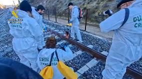 Train Accident Near Adamuz Kills At Least 39 - Spain