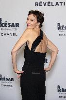 Cesar - Revelations 2026 NB