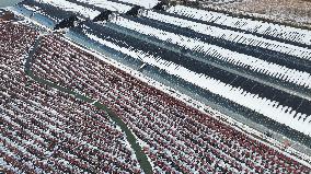 Blueberry Planting Base