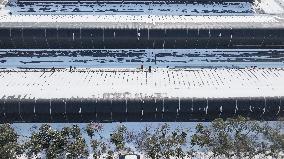 Blueberry Planting Base