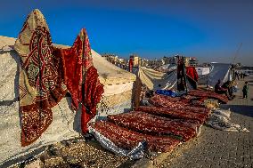 Gaza Port After Storm - Palestine
