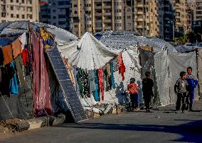 Gaza Port After Storm - Palestine