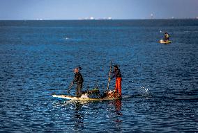 Gaza Port After Storm - Palestine
