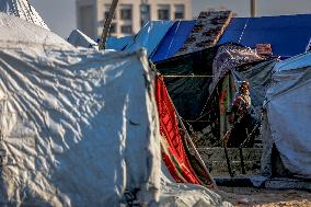 Gaza Port After Storm - Palestine