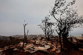 Deadly Wildfires in Southern Chile Force Thousands to Flee