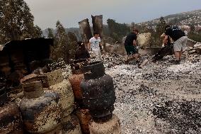 Deadly Wildfires in Southern Chile Force Thousands to Flee