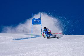 SPORT INVERNALI - Sci Alpino - 2026 Audi FIS Ski World Cup - Women's Giant Slalom