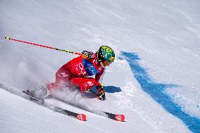 SPORT INVERNALI - Sci Alpino - 2026 Audi FIS Ski World Cup - Women's Giant Slalom