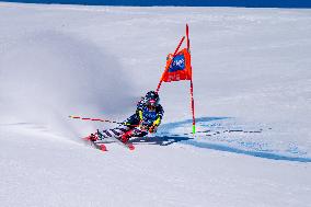 SPORT INVERNALI - Sci Alpino - 2026 Audi FIS Ski World Cup - Women's Giant Slalom