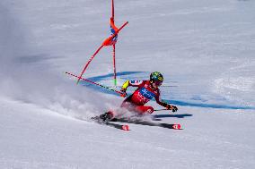 SPORT INVERNALI - Sci Alpino - 2026 Audi FIS Ski World Cup - Women's Giant Slalom